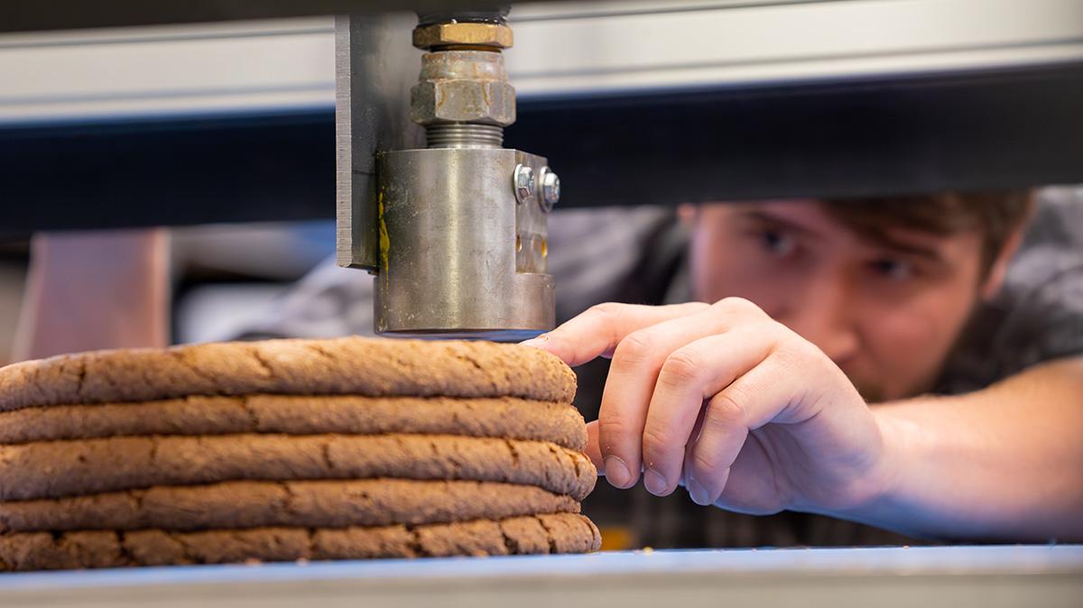 Student looks at 3D-printed wood material